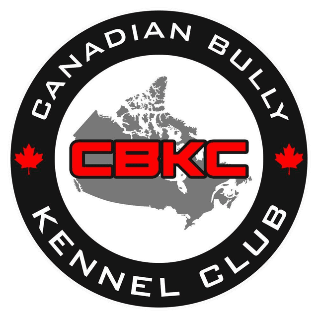 Canadian Bully Kennel Club