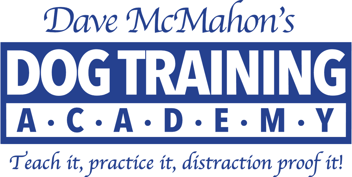 Dave McMahon's Dog Academy